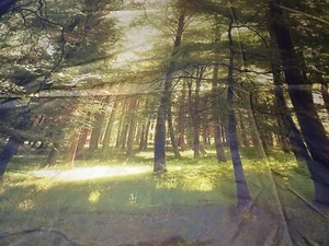 Tessuto stampa forestale poliestere 51"" x 57" vintage - Foto 1 di 6