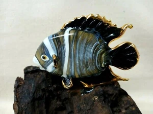 Beautiful Sea Fish Glass Blow Figurine Animal Handmade Wood Decor Gray Aquarium - Picture 1 of 12