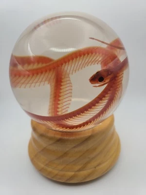 Serpiente diafonizada en un globo terráqueo  Foto 1 de 4