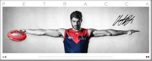 AFL CHRISTIAN PETRACCA HAND SIGNED WINGS MELBOURNE DEMONS OFFICIAL PRINT GAWN - Picture 1 of 1