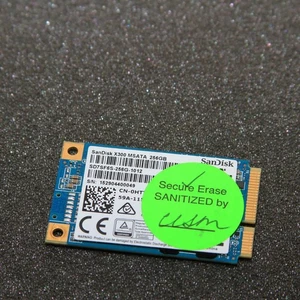 SanDisk x300 SD7SF6S-256G-1012 256 GB 1.8 In mSATA Solid State Drive - Picture 1 of 2