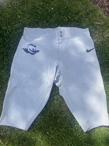 Oregon Ducks Nike Baseball pant Game worn team issued Men's pants PE Cover