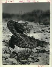 1988 Press Photo "Snakes: Edens Deadly Charmers" airing on CBS Television