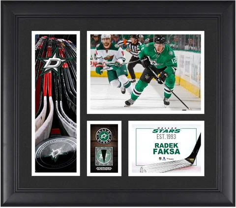 Radek Faksa Dallas Stars Framed 15x17 Collage w/a Piece of GU Puck Cover