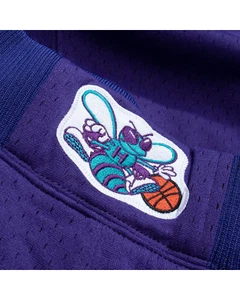 Just Don Mitchell & Ness CHARLOTTE HORNETS 1994-95 AUTHENTIC PURPLE SHORTS - Picture 1 of 20
