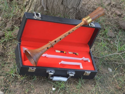 Музыкальный палисандровый маленький средневековый инструмент RAUSCHPFEIFE с двумя тростями - Изображение 1 из 2