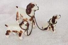 Gorgeous Vintage English Springer Spaniel dog with pups on chain