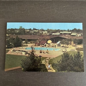 MOTEL Postcard Los Gatos Lodge Motel CA Swimming Pool Mike Roberts Chrome - Picture 1 of 2