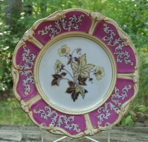 Antique S.K.&G HANLEY "PARISIAN Ironstone 9-1/2" Plate "C" - Picture 1 of 6