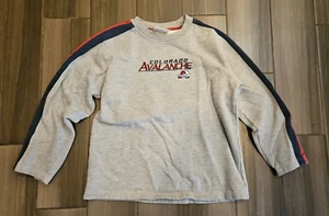 Colorado Avalanche Lee Sports Youth Large Gray Sweatshirt - Picture 1 of 6