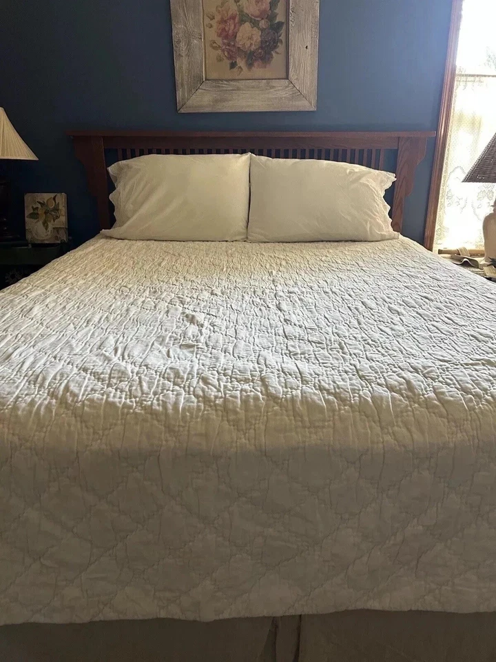 Colcha de veludo Simply Shabby Chic branca macia rosa reversa Rachel Ashwell F/Q - Imagem 1 de 4