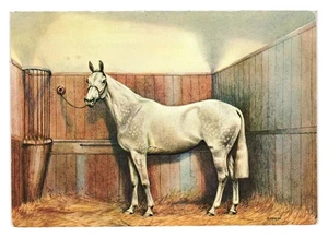 Cartolina d'epoca illustrazione cavallo Tucks 2518 stampata in Svizzera equitazione - Foto 1 di 2