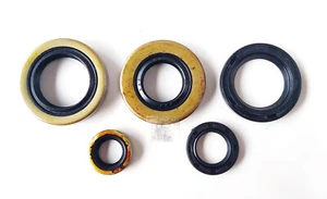 FOR Kawasaki KE125 '74-'85 KD175 '75-'79 KS125 Oil Seal Kit 5pcs New - Foto 1 di 4