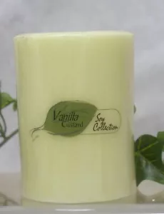 6 Pack Vanilla Custard Pillar Candles 4-inch Tall Nature's Finest 528 - Picture 1 of 1