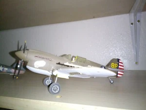 Gebaute P-40 Pearl. Hochdetailliertes Cockpit und Camouflage 1/48 mit Spinngummi - Bild 1 von 1