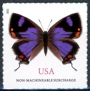 COLORADO HAIRSTREAK 1 Non-Machineable Surcharge Stamp Dated 2021 Scott's 5568 - Picture 1 of 2