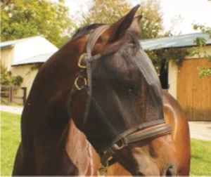 Fly Mask - size small - Picture 1 of 1
