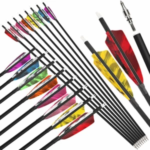 28 Zoll 30 Zoll 31 Zoll Carbonpfeile Bogenschießen SP500 4 Zoll Truthahnfeder Spitzenpunkte Bogenjagd - Bild 1 von 26