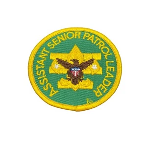 Patch ricamata vintage Boy Scouts of America assistente capo pattuglia senior - Foto 1 di 2