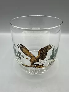 Vaso de beber vintage Sunoco águila calva rocas vida silvestre americana Libbey 3,75" - Imagen 1 de 8