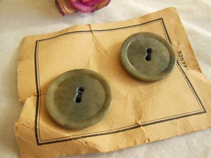 Duo gros gros boutons anciens en corozo sur carte collection 2,6 cm T18 - Picture 1 of 4