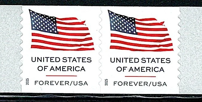 Mint US Pair of Flag Coil Stamp Scott# 6017 (MNH) - Image 1 of 1