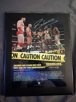 Placa de bloqueo de carretera firmada por Sheamus WWE TNA NXT AEW Foto 1 de 2