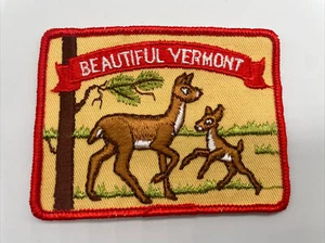 Hermoso parche vintage de Vermont de lote antiguo caza de ciervos senderismo parques naturales años 70 años 80 - Imagen 1 de 3
