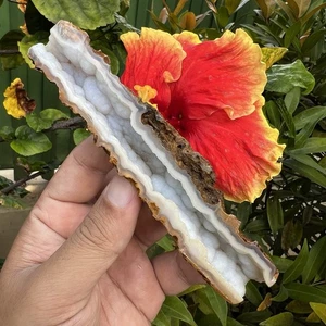 RARE!!63gr beautifull Stalactite Druzy Quartz Chalcedony From Indonesia - Picture 1 of 18