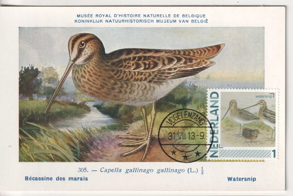 Maxi Maximum Card  Netherlands Limited Edition FDC BIRD 2013  ..24 - Image 1 of 1
