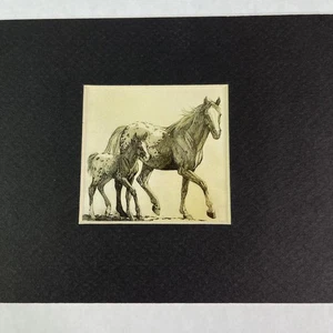 Colgante de pared estampado de caballo potro mate 7" x 5" decoración oeste suroeste Appaloosa - Imagen 1 de 6