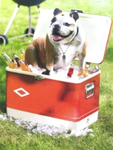 TARJETA DE CUMPLEAÑOS AVANTI "¡No hay nadie más fresco que tú!" BULLDOG EN COFRE DE HIELO - Imagen 1 de 2