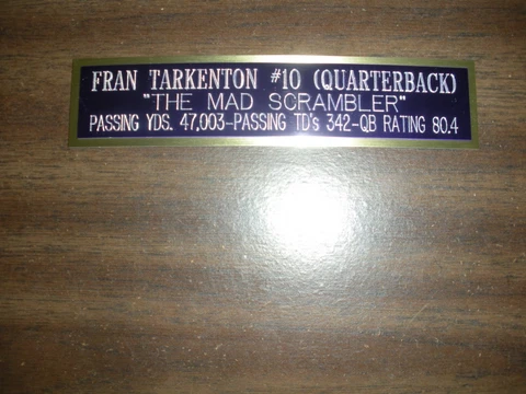 FRAN TARKENTON (VIKINGS) ENGRAVED NAMEPLATE FOR PHOTO/DISPLAY/POSTER Cover