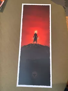 MTG Magic the Gathering Chandra Nalaar 10" x 26 1/2" Kunstdruck Poster Doppelseitig - Bild 1 von 7