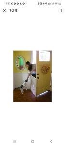 Einziehbares Hundetor Absperrbogen Wow Absperrung Smart Retract - Bild 1 von 3