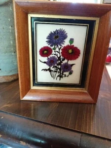 Antique C.& A. Richards Boston Botanical Flowers Hand Colored On Glass - Picture 1 of 6