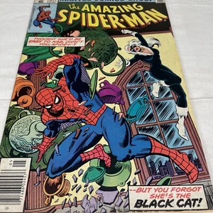 Amazing Spider-Man #204 QUIOSCO (1980) Marvel Romita 3er Gato Negro Grado Medio - Imagen 1 de 12