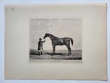 Vintage Antique Print 1887 Portraits Famous Racehorses Springkell Foaled 1821