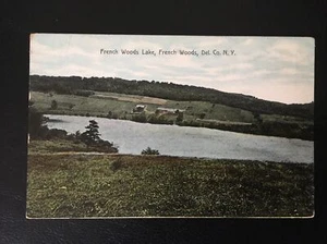 c1915 French Woods Lake, Del. Co. French Woods, N.Y. Vintage Postcard - Picture 1 of 2