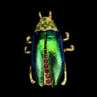 Broche de escarabajo verde de plata esterlina 925 con piedras preciosas de diopsido cromado de 2,5 mm de rubí