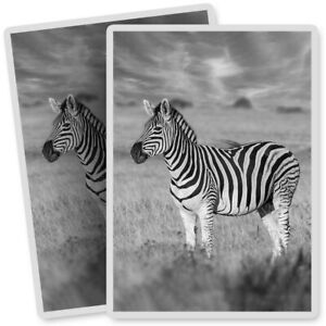 2 x Vinyl Aufkleber 7x10cm - BW - Wild Zebra Afrika Pferd Safari #42014