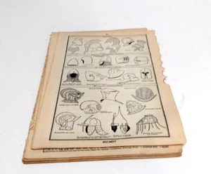 Vtg Ephemera Webster's Collegiate Dictionary 1928 3rd Edition Lot of 50 Pages E - Picture 1 of 11