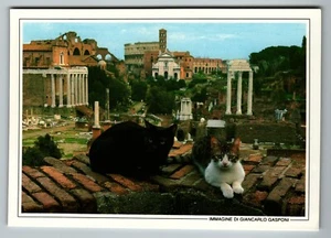 Cat al Foro Romano - Rom Italien Postkarte - von Giancarlo Gasponi - Bild 1 von 2