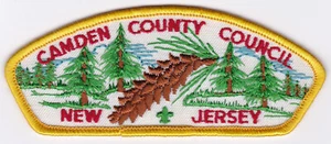 CSP - CAMDEN COUNTY COUNCIL - T-2B - FUSIONIERT 1998 - Bild 1 von 1