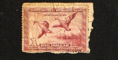 1938  U.S DUCK STAMP $1.00 Lt Vio PINTAIL DUCKS  Sc#RW5 Signed Part License - Image 1 of 2