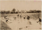 Zdjęcie Albumen Reisfeld Viet Nam Indochiny kierunek 1890