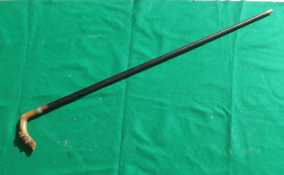 Ancienne Belle Canne De Dandy .  Pommeau En Corne . TETE DE LEVRIER . XIX EME - Photo 1/4