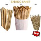 BAMBOO CANES GARDEN THICK QUALITY HEAVY DUTY STAKE PLANT VEG SUPPORT POLE