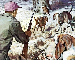 ANTICA COPERTINA RIVISTA RIPRODUZIONE CACCIA PROCIONE STAMPA FOTOGRAFICA 8X10 CON CANI - Foto 1 di 1