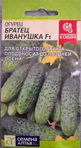 Snack Gurke Gurkensamen knackige Sorte Семена Огурец Братец Иванушка F1 - Bild 1 von 3